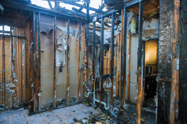 Professional Fire Damage Removal technician working in Kent, WA